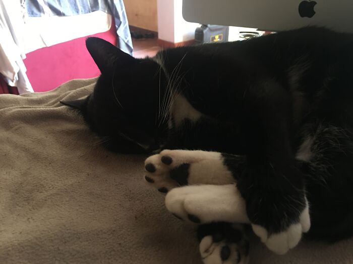 I Have A Mouse On The Right And A Rocket On The Left