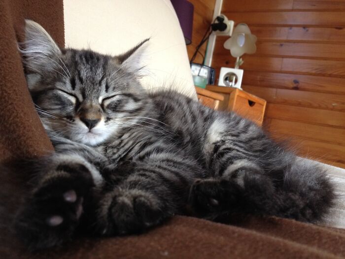 Le Repos Du (Petit) Guerrier