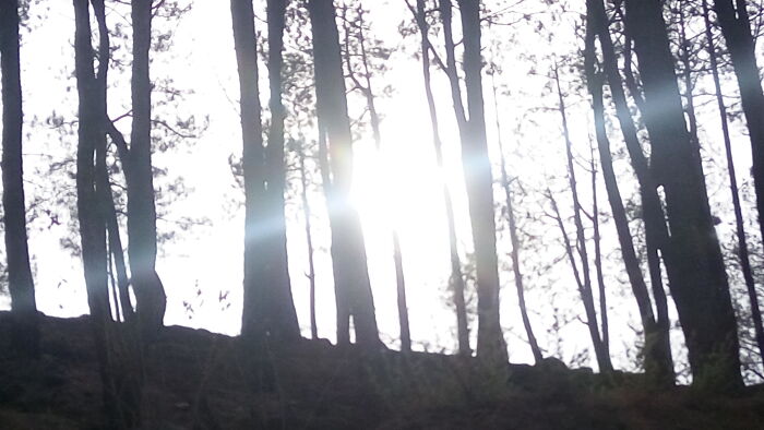 I Took This While We Were In A Moving Car. Pretty Good Xd