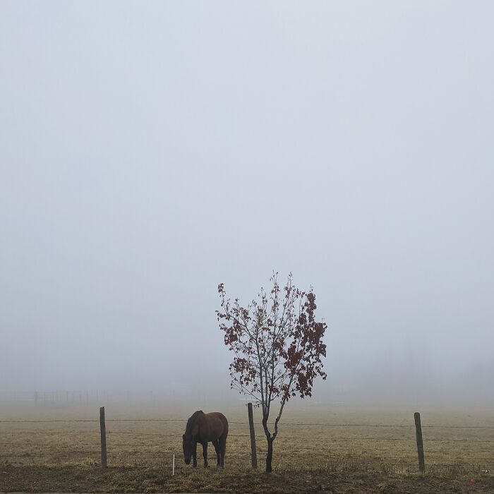 Winter Morning In Utah