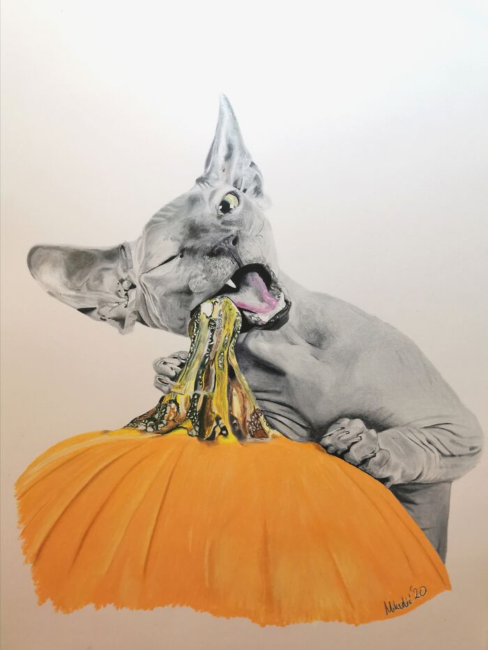 My Drawing Of A Cat. I Call It Halloween Cat