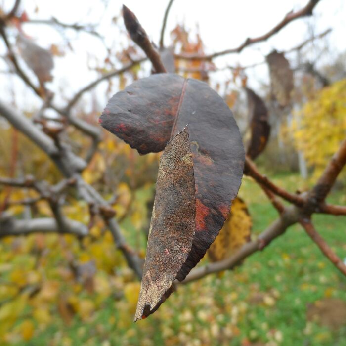 An End, Before A New Beginning