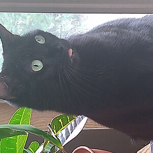 jgallaher1117 avatar