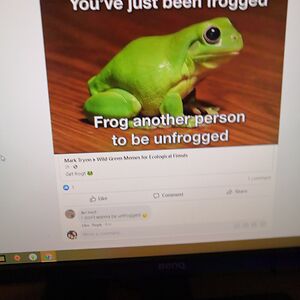 ariannaibbotson avatar