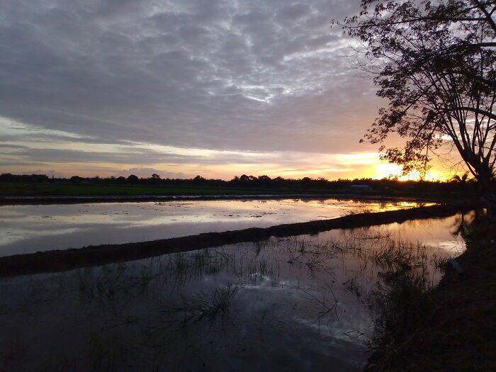 Johor,malaysia - Glad I Start My Routine Cycling Outing Late That Day