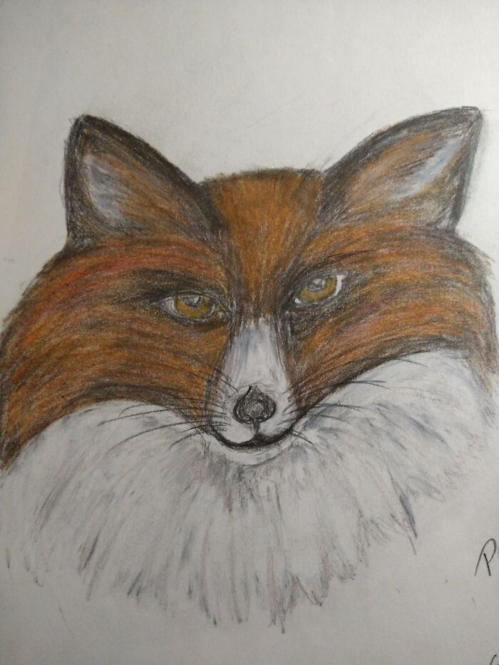 From 2017, Prince Reynard