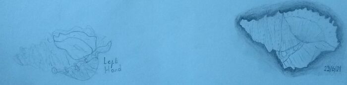 I Did This A Few Months Ago, Right Hand Is My Dominant