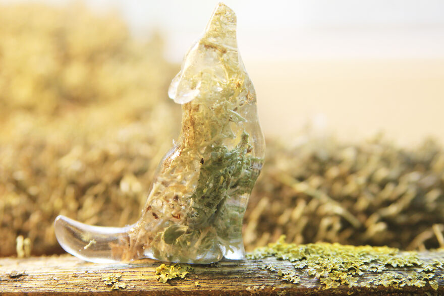 My Studio Makes Transparent Animal Sculptures With Pieces Of Nature Inside My Studio Makes Transparent Animal Sculptures With Pieces Of Nature Inside