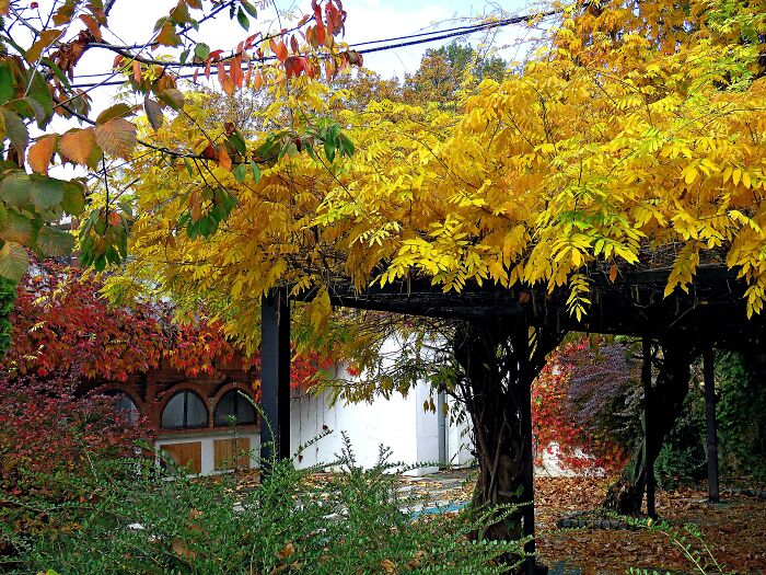 Fall Into An Abandoned Restaurant