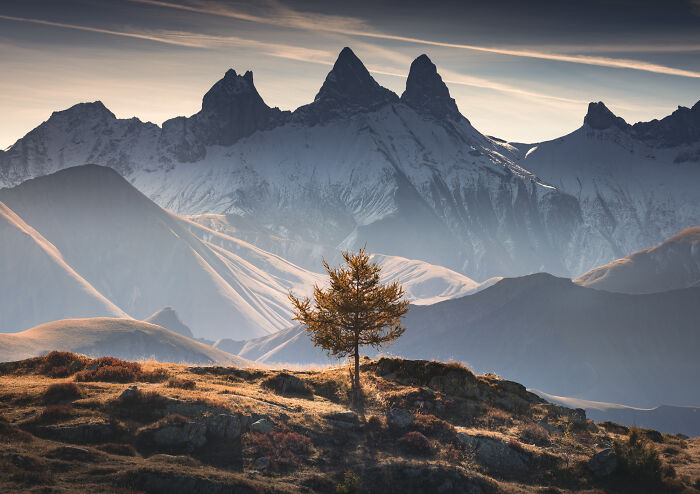 Mountain photographer captures colorful fall landscape with solitary tree and towering Alps under soft evening light.