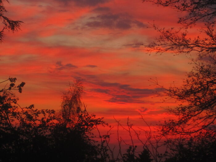 Sunset In Denmark (Camera's Sunrise Filter On, No Post-Editing)