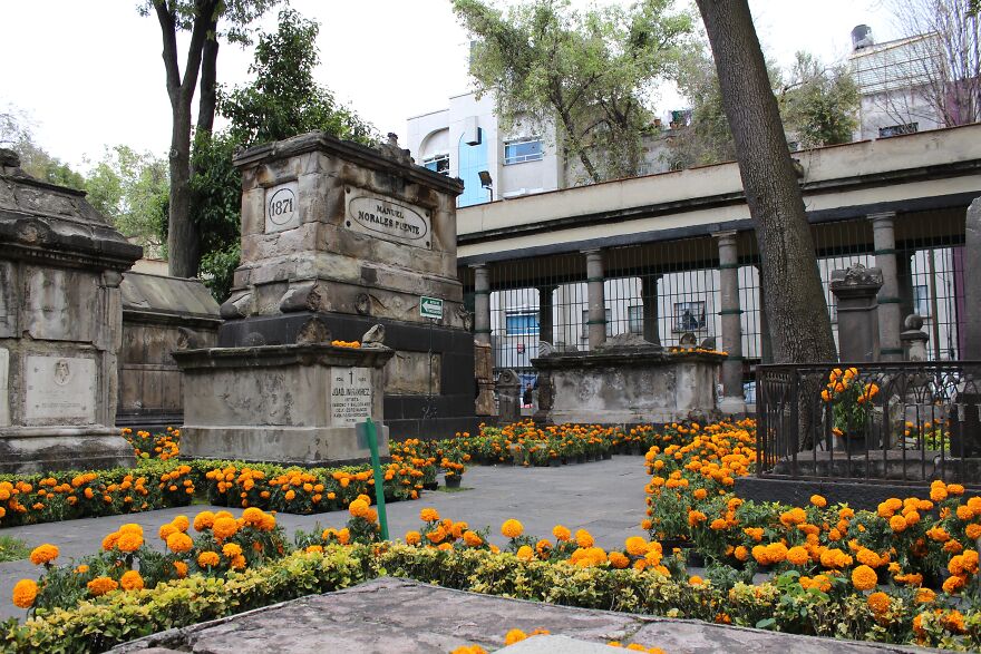 I Took Some Pictures From Mexican Day Of The Dead