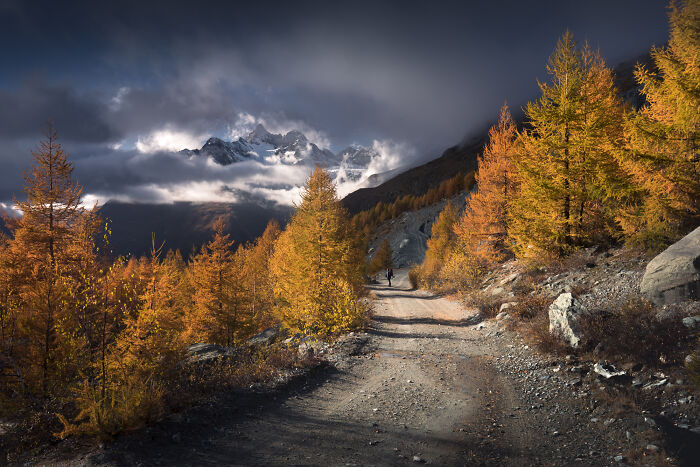 Mountain photographer capturing colorful fall foliage along a trail in the Alps under dramatic cloudy skies.
