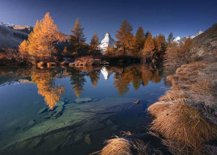 Colorful fall foliage in the Alps reflected in a clear mountain lake with snowy peaks in the background at sunrise.