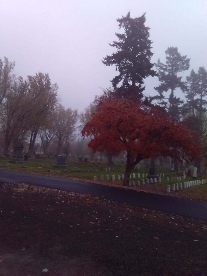 Its Not Very Good But...