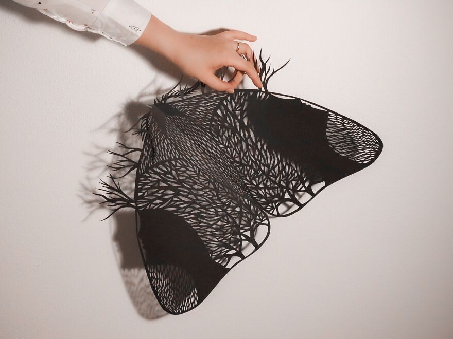 A Walk Through The Dark Forest