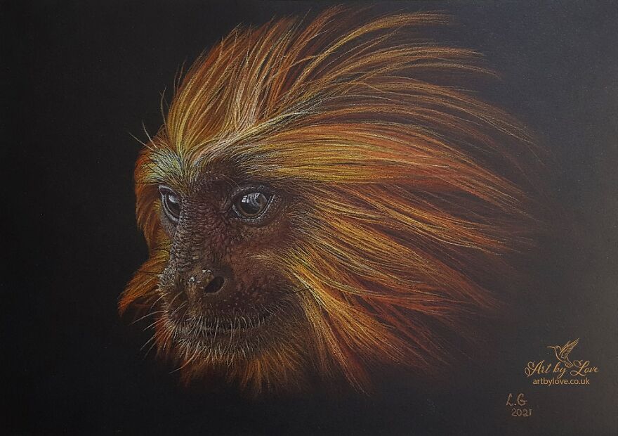 Some Of Us Can Contribute To Saving Our Planet From Our Homes