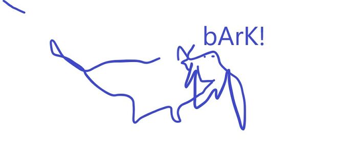 Squiggly Fur-Child! Fyi: Supposed To Be A Black Cavoodle.