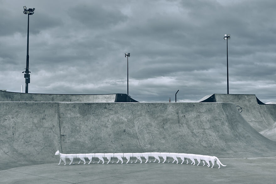 Assembled A 5 Meter Cat From Paper, 2 Months Of Work