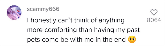 It Appears That There Are 2 Unexplainable Things That Often Occur Before Patients Pass Away And This Nurse Went Viral For Sharing This