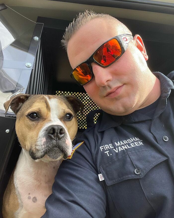 Meet Hansel, A Pit Bull Who Was Rescued From A Dog Fighting Ring And Adopted By The Millville Fire Department Who Trained Him To Become An Arson Detection K-9 Officer