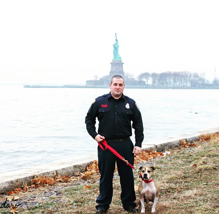 Meet Hansel, A Pit Bull Who Was Rescued From A Dog Fighting Ring And Adopted By The Millville Fire Department Who Trained Him To Become An Arson Detection K-9 Officer
