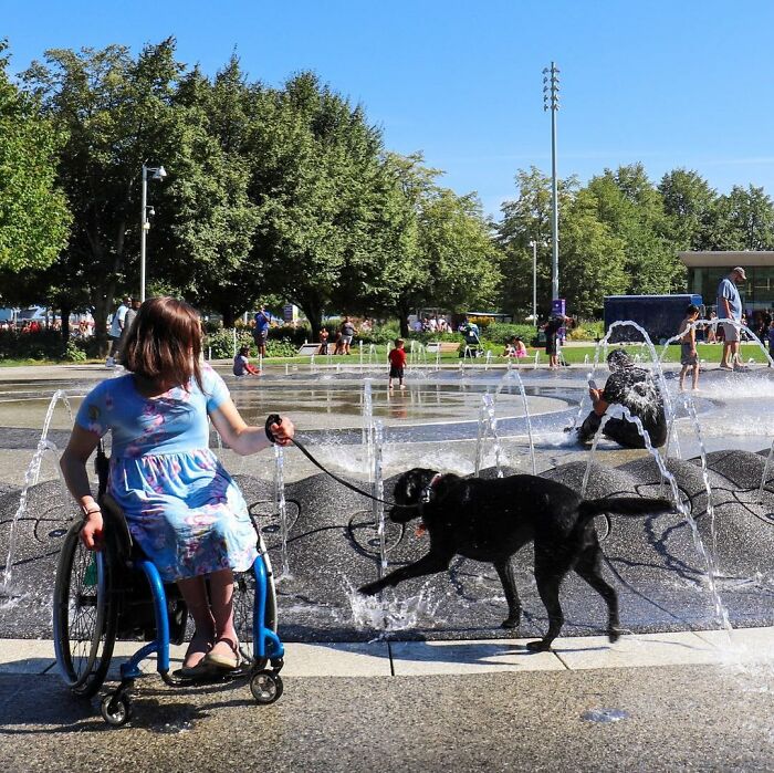 Labrador Named Lily Always Gets Her Deaf Sister When It’s Time For A Walk Labrador Named Lily Always Gets Her Deaf Sister When It’s Time For A Walk