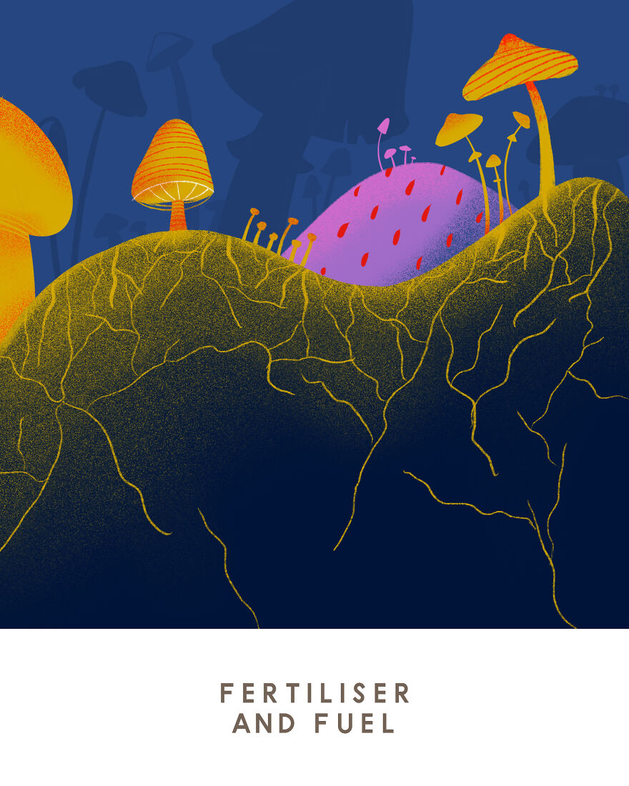 We Illustrated 9 Things You Can Do With Mushrooms Besides Eat Them We Illustrated 9 Things You Can Do With Mushrooms Besides Eat Them