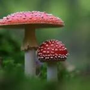 19westmorelande avatar