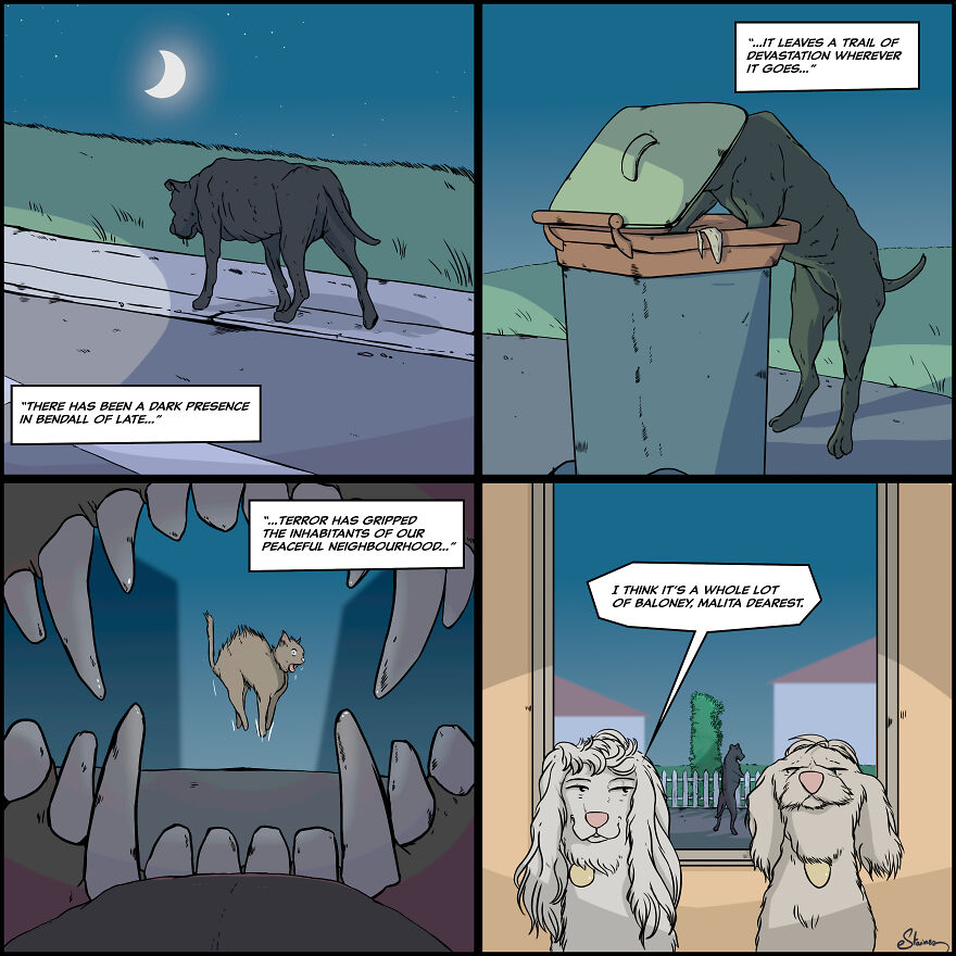 The Mysterious Night Stalker Is Near