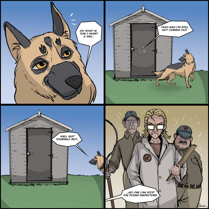 No One Expects The Pound Inspectors