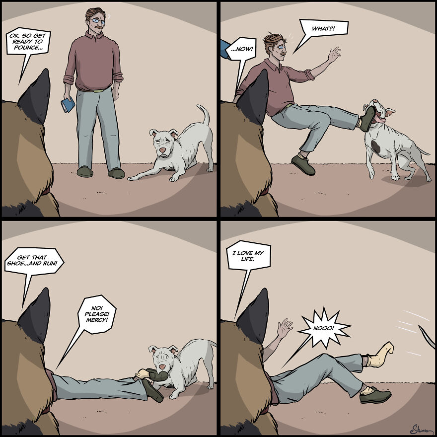 Prince Sabotaging Bennie's Training