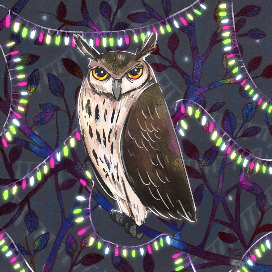 I Illustrated Birds I See From My Balcony Or In The City