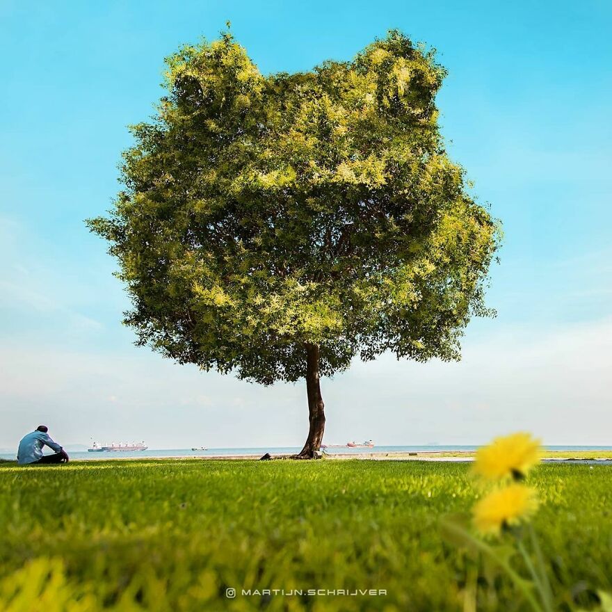 Photographic Project Merges Landscapes And Wild Animals Into Breathtaking Images (53 Pics)