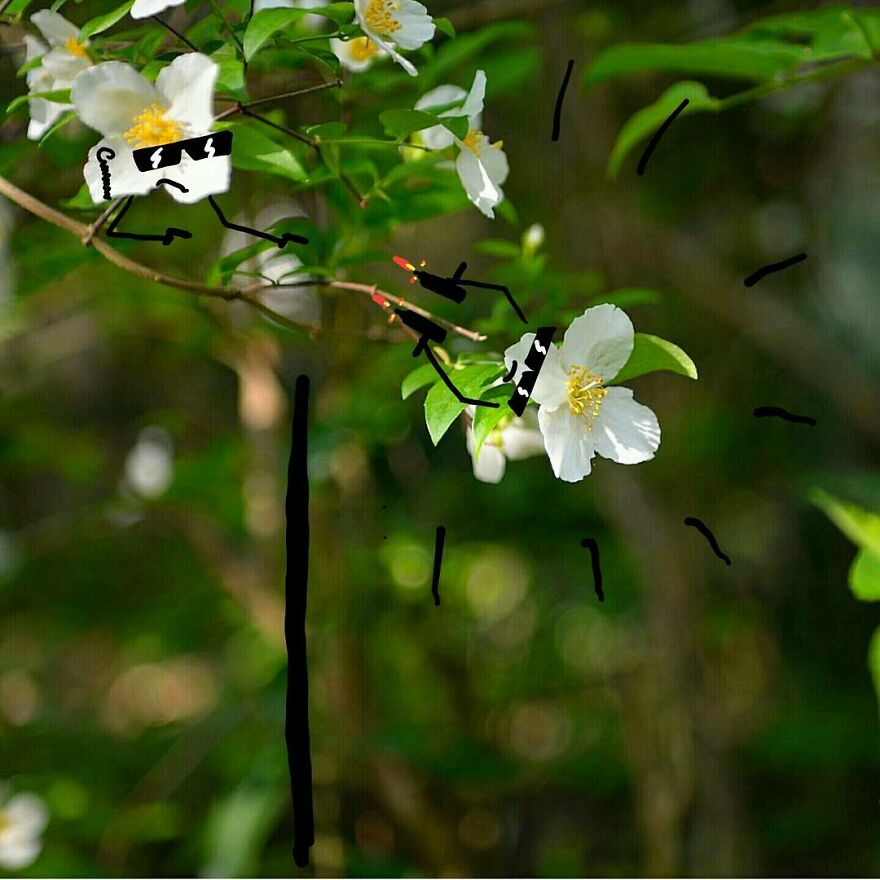 Photographs Come To Life In The Hands Of This Artist