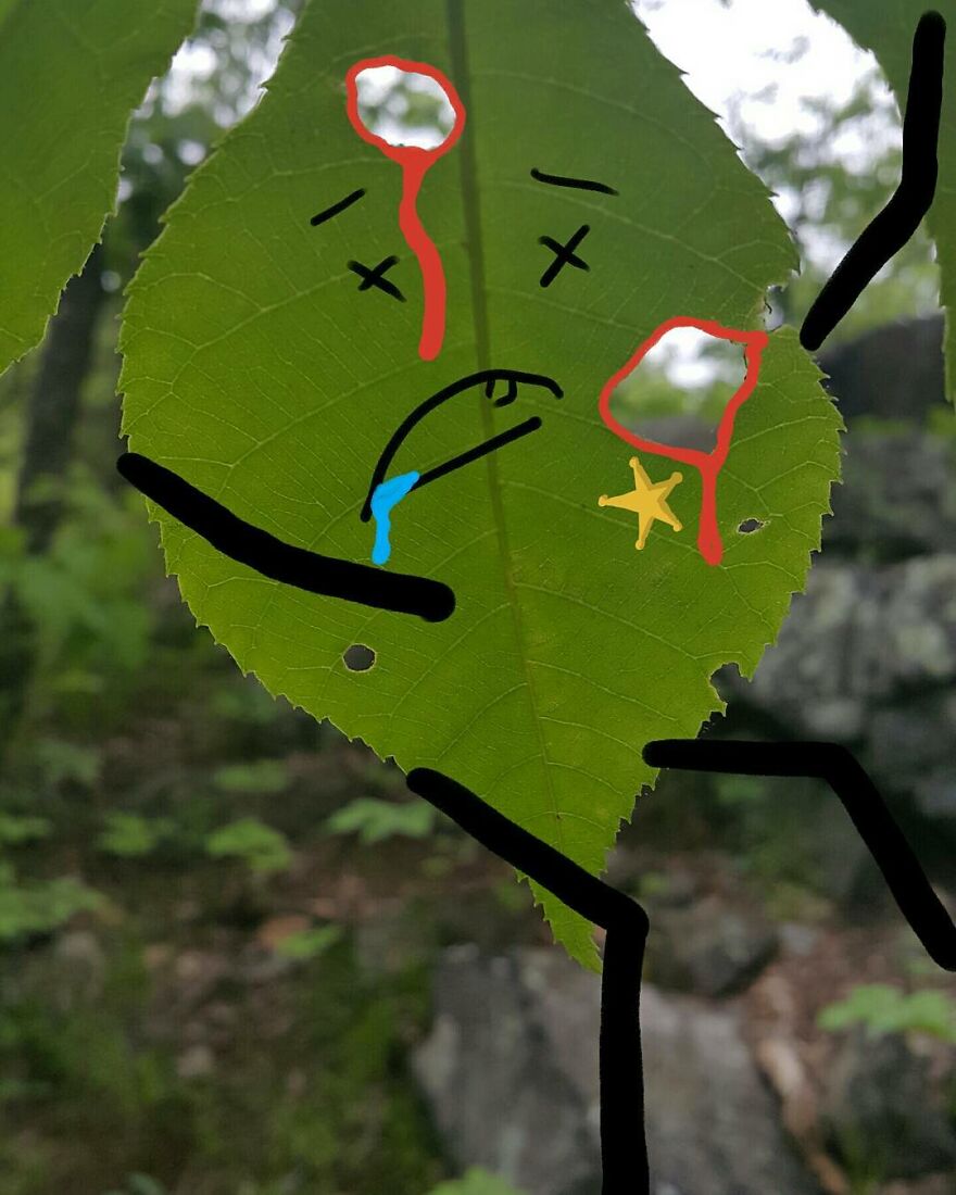 Photographs Come To Life In The Hands Of This Artist