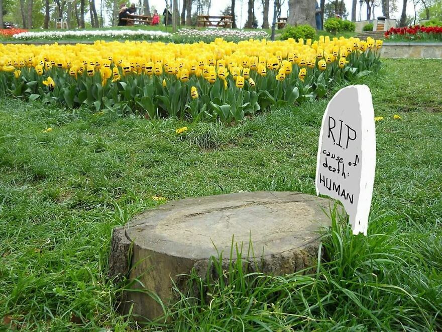 Photographs Come To Life In The Hands Of This Artist