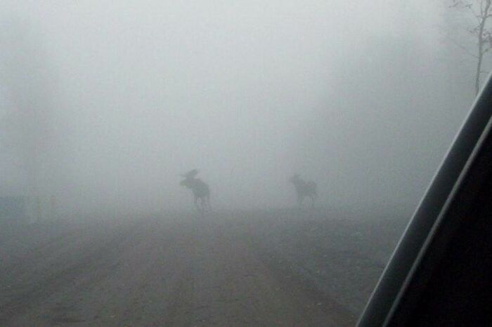 Prince Wind Project - Sault Ste. Marie, Ontario