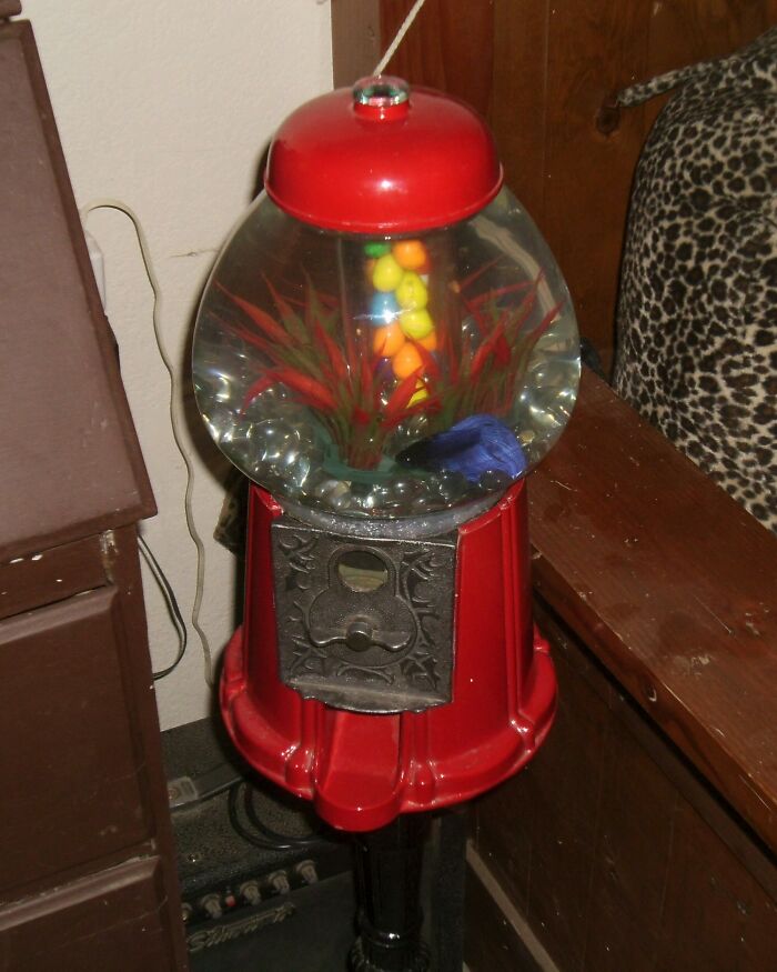 Grandma Had The Coolest Stuff To Tinker With