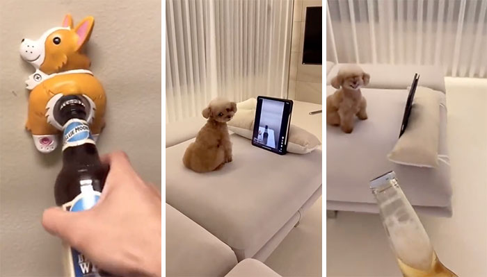 Abridor de botellas con forma de perro