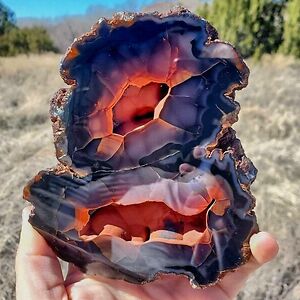 micazattelino avatar