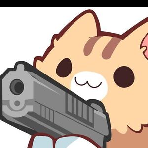 jhanani-seelan avatar