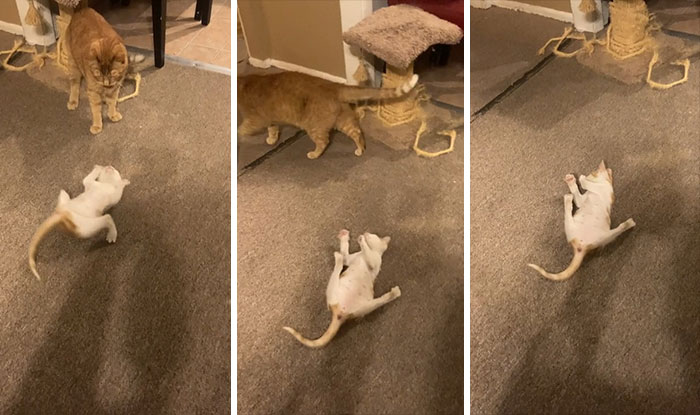 Just Gonna Walk Away From This One