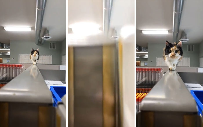 Somebody’s Watching Me