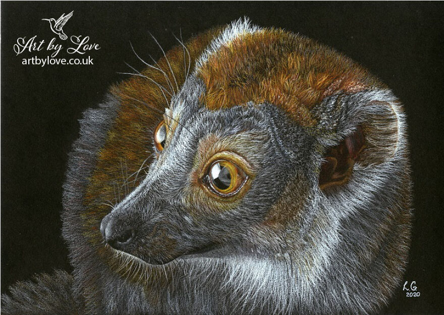 Some Of Us Can Contribute To Saving Our Planet From Our Homes