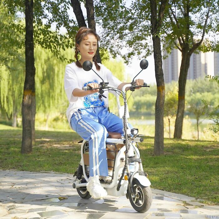 The Japanese Have Invented A Pet-Friendly E-Bike Called A Mopet, And It's Going To Make Their Transportation Much Easier The Japanese Have Invented A Pet-Friendly E-Bike Called A Mopet, And It's Going To Make Their Transportation Much Easier