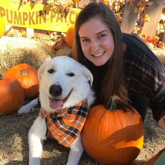 The Moment When A Blind Dog Realized She Was Going To The Dog Park Won People's Hearts On The Internet
