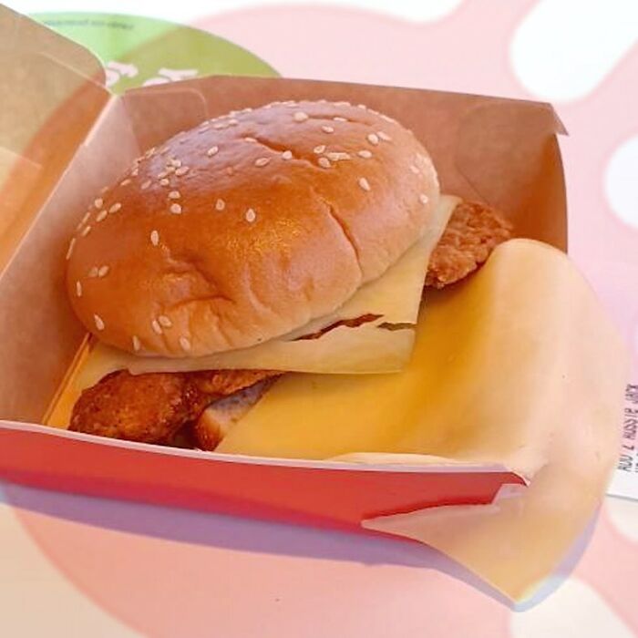 This Instagram Account Features The Worst McDonald's Hamburgers