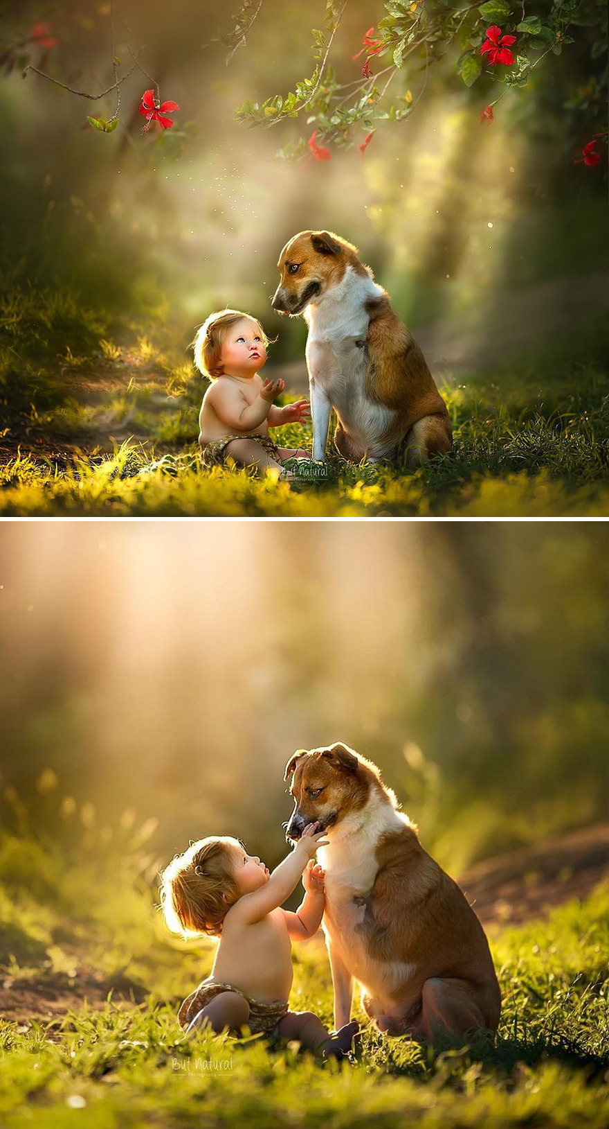 This Photographer Photographs Children In Tender Moments With Animals, And The Images Are Very Cute (New Pics)