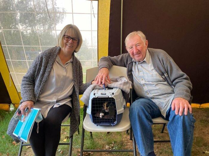 Meet Trudie, The 'Miracle' Cat Who Survived Being Run Over By A Bus And Found A New Forever Home